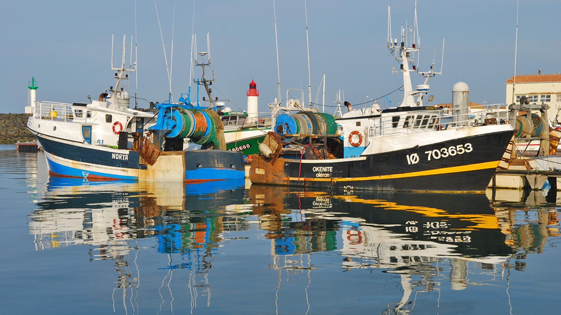 Le Port de pêche de la Cotinière à Saint Pierre d'Oléron