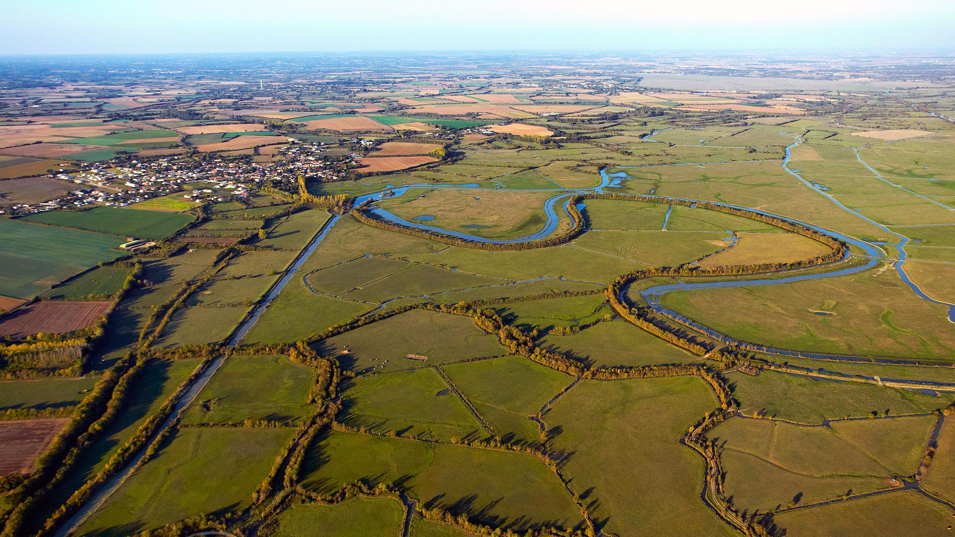 La Réserve Naturelle Nationale de la Baie de L' Aiguillon
