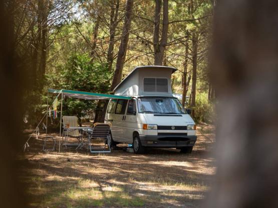 BASIC : Stellplatz Wohnmobil / Wohnwagen (-5m)