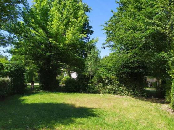 Komfortstellplatz: 2 Personen + Fahrzeug + Strom