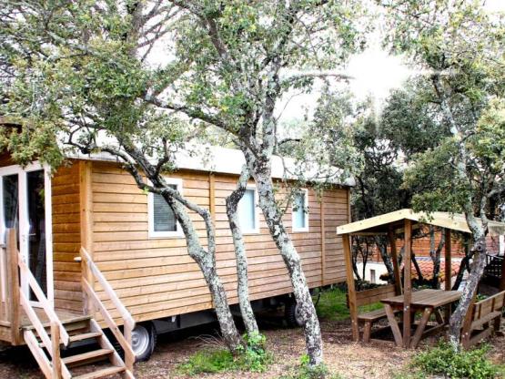 ROULOTTE Klimatisiert - 2 ch - 26.08m² / Zikade, Grille, Distelfink, Meise