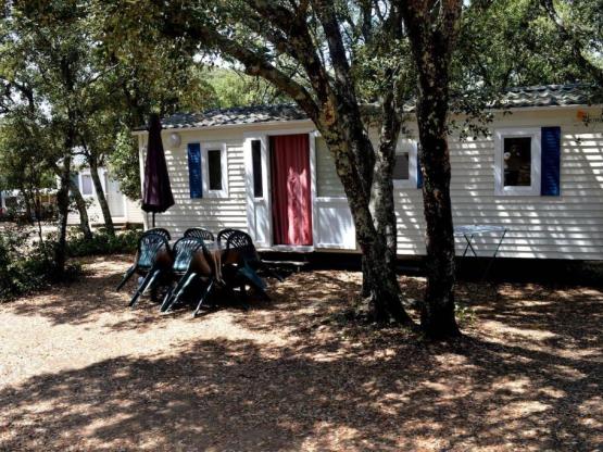 MOBILHEIM Komfort Klimatisiert - 2 Zi - 24m² / Palme und Olivenbaum