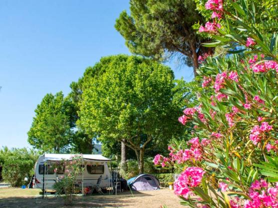 Stellplatz : Auto + Zelt oder Wohnwagen + Strom 10A