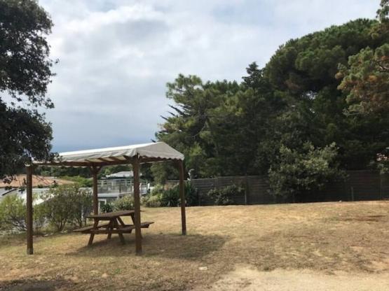 Komfort Stellplatz Wohnwage