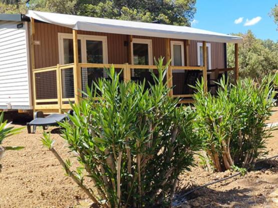 Mobilheim COTTAGE 6 - 31m²  - AZUR RANGE