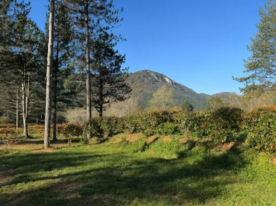 Stellplatz Confort - 10A strom + Wasser + 120m²