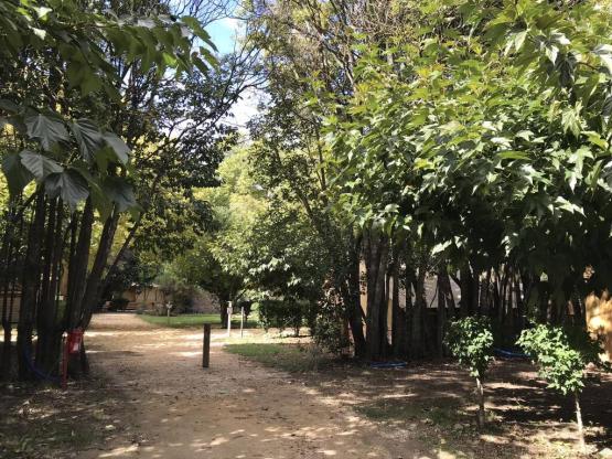 Stellplatz + 1 Auto + Zelt , Wohnwagen oder Wohnmobil +  Strom 10A