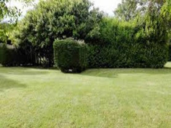 Stellplatz + 1 Auto + Zelt , Wohnwagen oder Wohnmobil