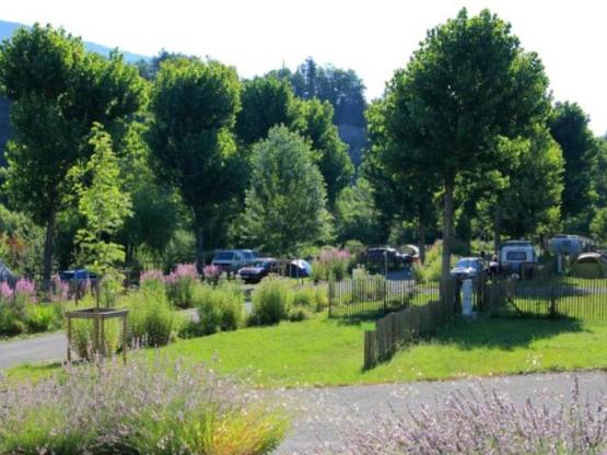 Stellplatz + 1 Auto + Zelt , Wohnwagen oder Wohnmobil