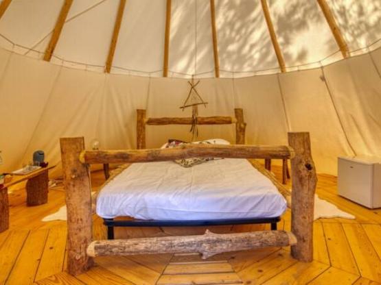 Tipi