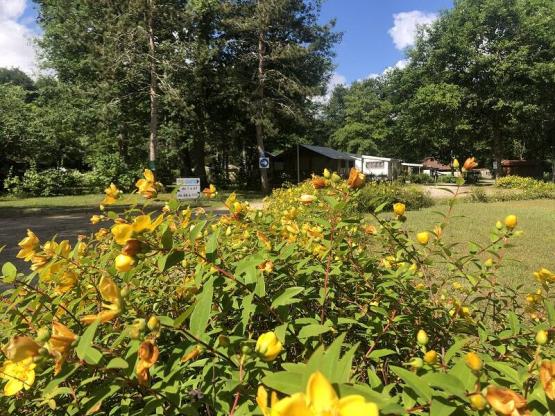 Wanderpaket : Stellplatz 1 Person + Zelt