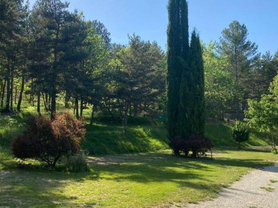 Camping Stellplatz Confort Large Zelt/Van/Wohnwagen/Wohnmobil (mit Strom)