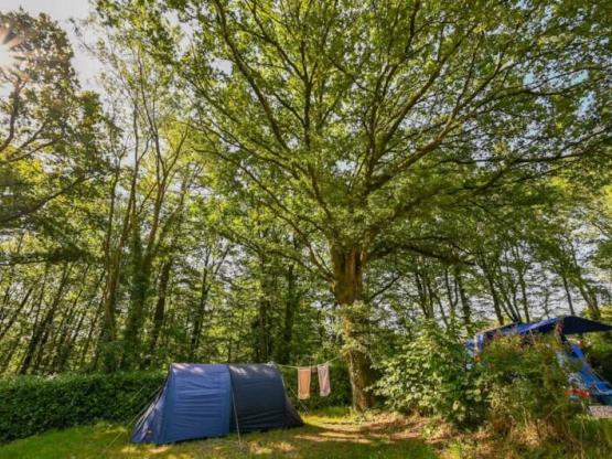 Stellplatz Wanderer / Radfahrer