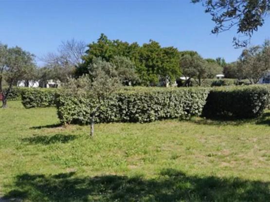 Stellplatz Komfort (1 Zelt, Wohnwagen, Wohnmobil / 1 Auto / Strom 16A)