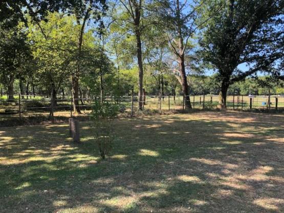 Stellplatz 90 m2 mit Strom 6A (1 oder 2 Pers. + 1 Zelt + 1 Auto)