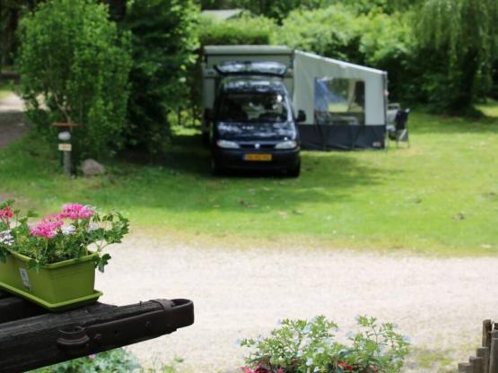 Confort Pitch (with electricity)