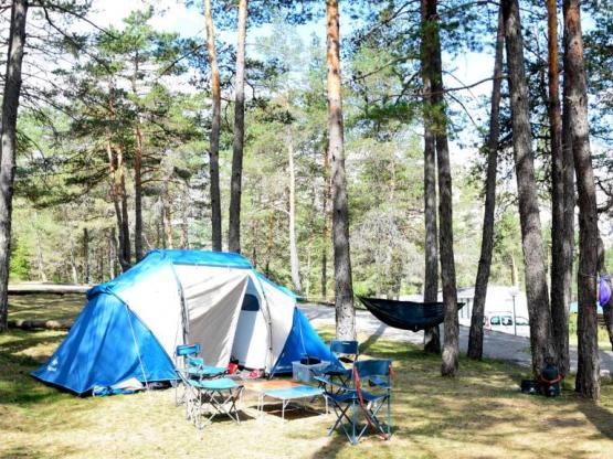 Stellplatz, Zelt, Wohnmobil oder Wohnwagen