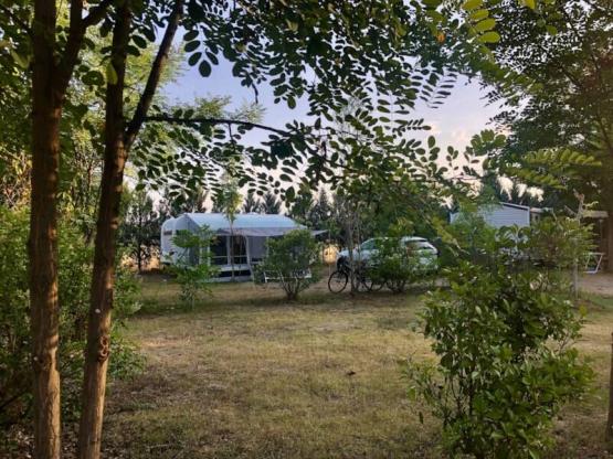 06 Stellplatz XXL (+200m²)  auto + Strom 6A