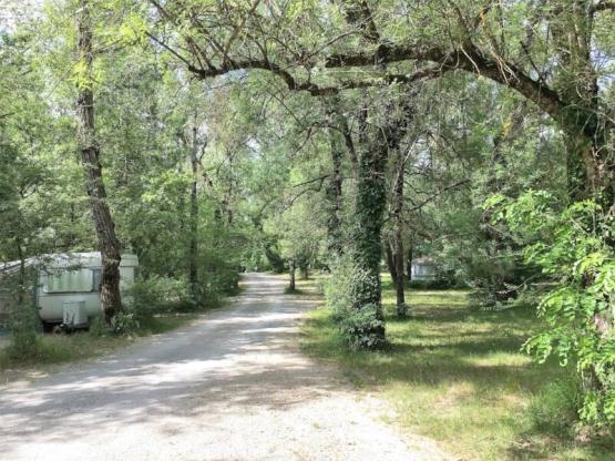 Stellplatz Nature (1 Zelt, Wohnwagen/ 1 Auto) + Strom 5A