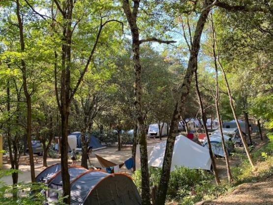 Plaats: tent of caravan met 1 auto, of camper/busje met elektriciteit