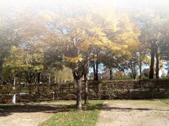 Zeltplatz ohne Strom + 1 Person + 2-Rad-Fahrzeug