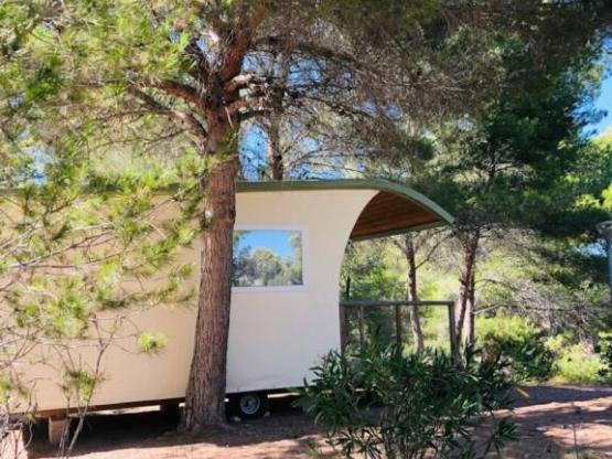 UNGEWÖHNLICHER WOHNWAGEN - Blick auf das Reservat - Hotelleistungen inklusive