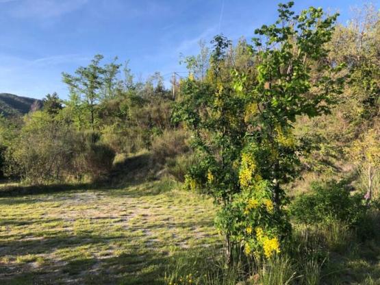 Stellplatz Privilège (1 Zelt, Wohnwagen, Wohnmobil / 1 Auto / Strom ) + Abwasser