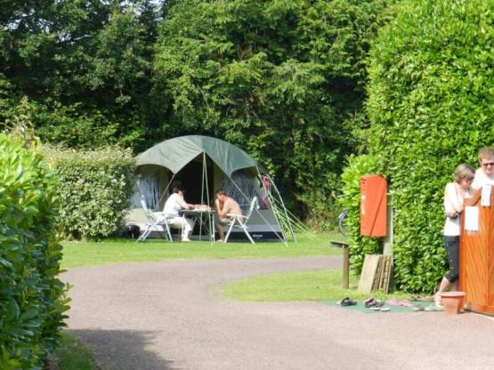 Stellplatz + Zelt + Fahrradpaket für 2 Personen.