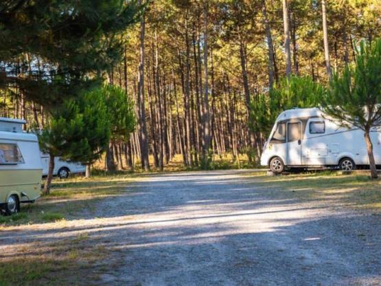 Staanplaats met elektriciteit+Water+Afvoersysteem / D