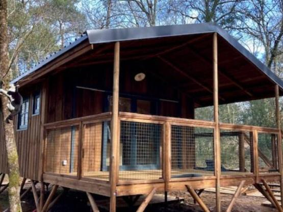 Lodge CAPE TOWN Clim Schlafzimmer