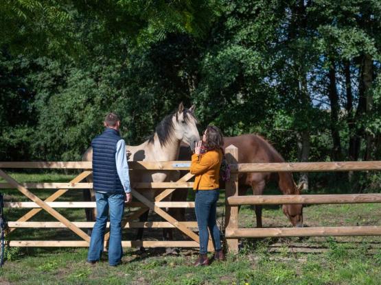 Goutte d'Ô  +  Reiten