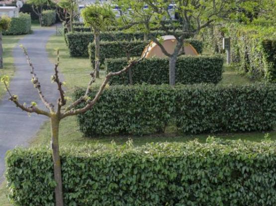 Mobilheim IRM Super-Venus voll mit 2 Schlafzimmer, Bad, WC und Wohnzimmer Küche ausgestattet.