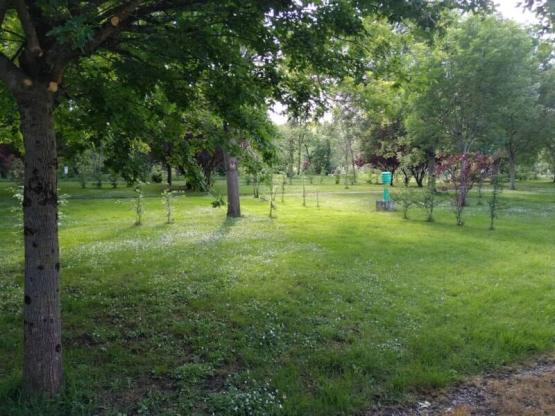 Stellplatz + Fahrzeug + Strom