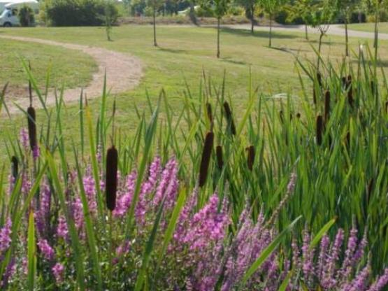 Stellplatz Pauschale Wanderer oder Radfahrer mit Zelt