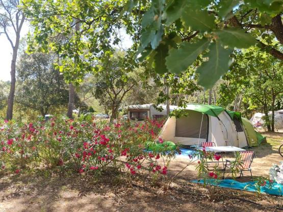 Stellplatz ZELT CLASSIQUE mit Strom 6A