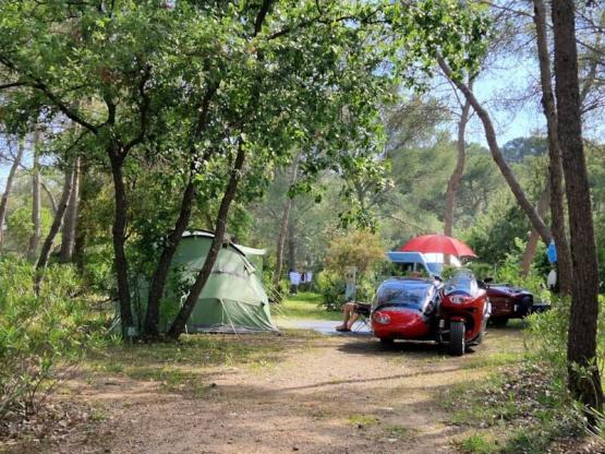 Stellplatz ZELT CONFORT + Strom 10A + Fließwasser + Abwasseranschluss