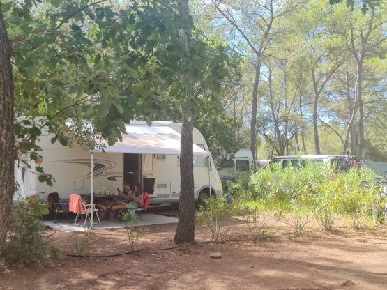 Stellplatz XL  CONFORT + Strom 10A + Fließwasser + Abwasseranschluss