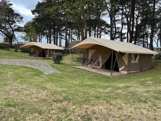 Tent - 20m² - 3 slaapkamers + elektriciteit + overdekt terras