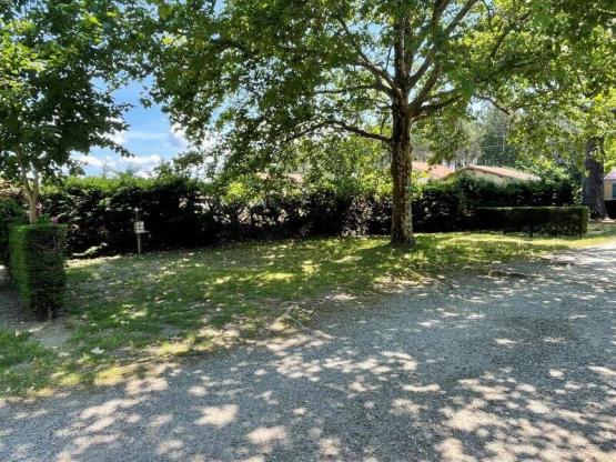 Staanplaats voor tent + elektriciteit -