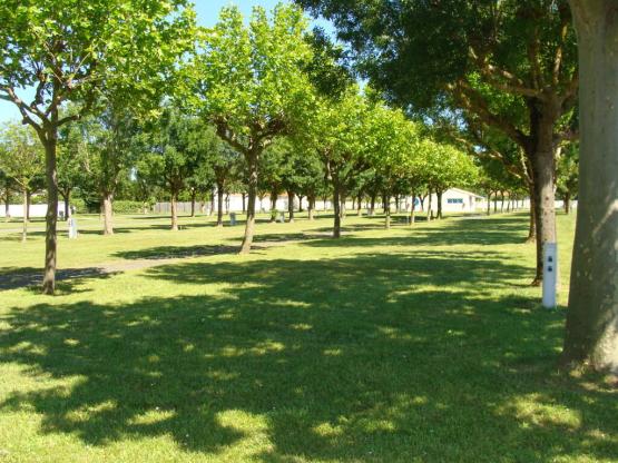 Le Camping propose des emplacements spacieux, plats et herbeux sur un site verdoyant clos et ombragé