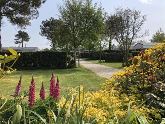 XL-Stellplatz für Wohnmobil, Wohnwagen oder Zelt MIT Strom