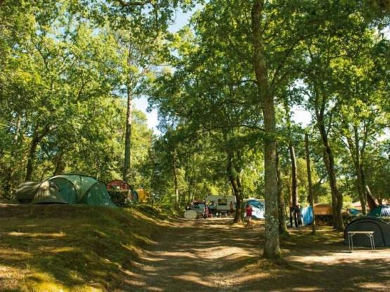 Stellplatz ohne Strom + 1 Auto + 1 Zelt oder Wohnwagen -