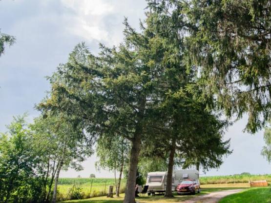 Camping-Pauschale (Stellplatz, 2 Personen, 1 Fahrzeug)