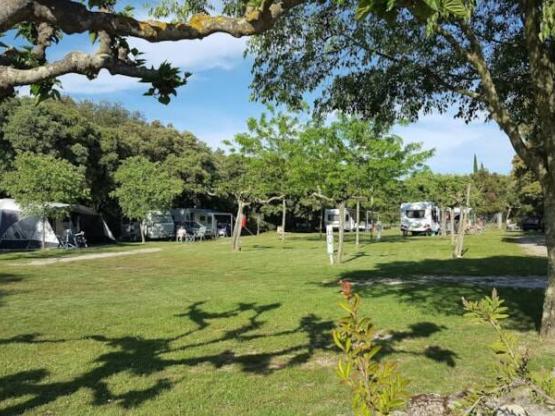 Pauschale FFCC ADAC ANWB - Strom 10A - 1 Hund - 2 pers