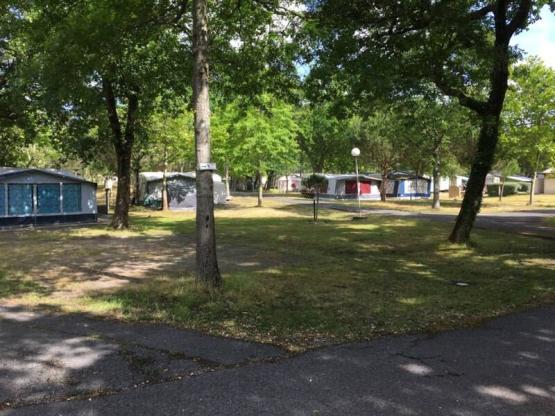 Stellplatz mit Strom (Zelt/kleiner Van)