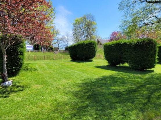 Stellplatz XL 141-220m²