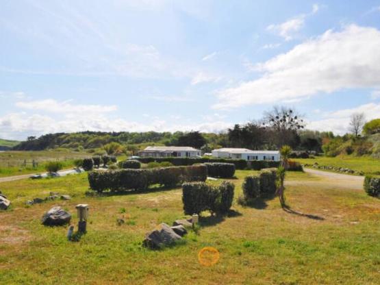 Stellplatz : Zelt + Strom