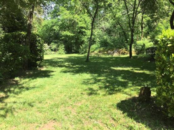 Pitch with electricity