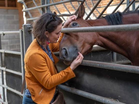 Reiterferien und Übernachtung in einem Haus auf dem Wasser - Alle Niveaus von 6 bis 99 Jahren!