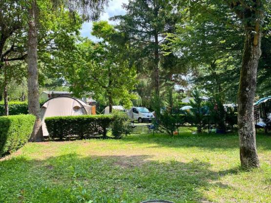 Stellplatz Confort XL für Zelt/Van/Wohnwagen/Wohnmobil (inklusive Strom)